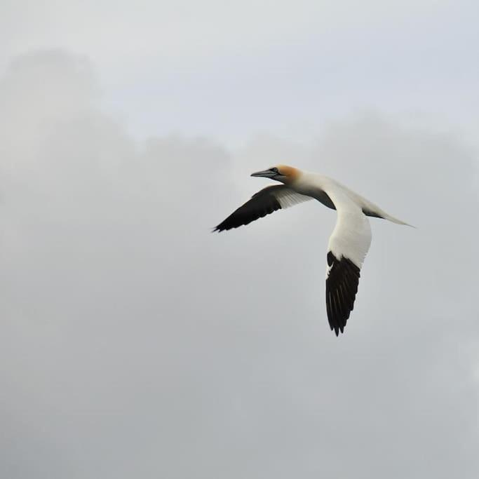 Glendale  Atlantic Drift - Isle Of Skye - Amazing Sea Viewsヴィラ エクステリア 写真