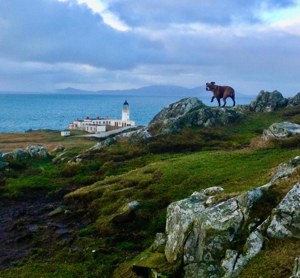 Glendale  Atlantic Drift - Isle Of Skye - Amazing Sea Viewsヴィラ エクステリア 写真